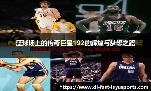 乐鱼网站